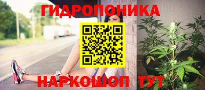 гашик Бийск