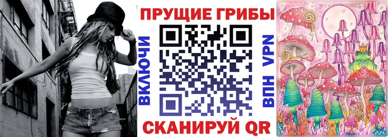 купить наркоту  omg ТОР  Галлюциногенные грибы мицелий  мориарти как зайти  Родники 